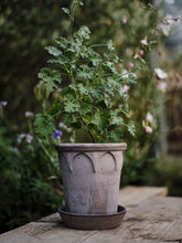 Load image into Gallery viewer, Handcrafted ceramic planter with heart design holding green geranium plant on wooden surface