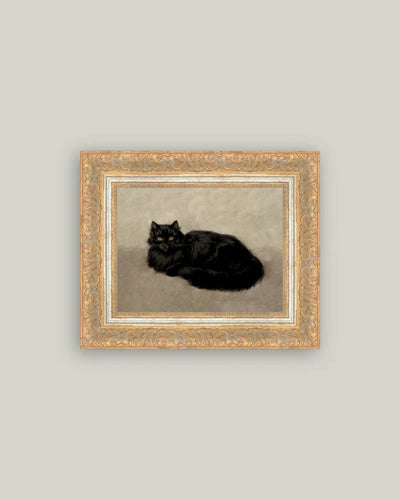 Black Cat