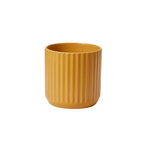 Pot Beam