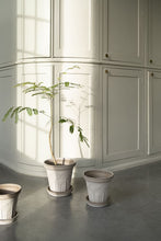 Load image into Gallery viewer, Fleur by Bergs Potter
