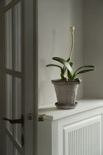 Load image into Gallery viewer, Fleur by Bergs Potter