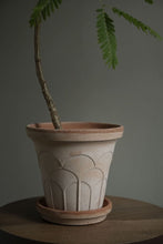 Load image into Gallery viewer, Terracotta plant pot with decorative floral relief pattern and matching saucer containing small plant