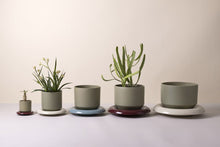 Load image into Gallery viewer, Five sage green ceramic planters in graduated sizes with colorful saucers and small plants