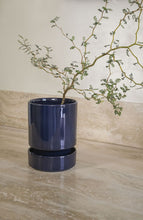 Load image into Gallery viewer, Navy blue ceramic planter with matching saucer containing delicate branched plant on travertine floor