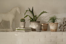 Load image into Gallery viewer, Atlas pottery planters by Bergs Potter in various sizes with ridged texture displaying plants on shelf