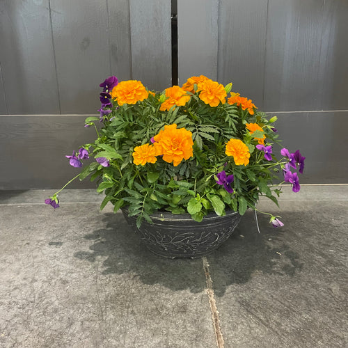 Fall Color Bowl Planter