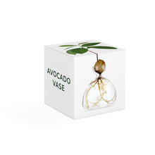 Load image into Gallery viewer, Clear glass avocado vase with sprouting avocado pit and green leaves in white gift box