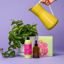 Load image into Gallery viewer, Hydration Renew Starter kit