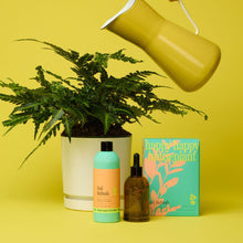 Load image into Gallery viewer, Soil Refresh Starter Kit with spray bottle, dropper bottle and packaging next to fern plant