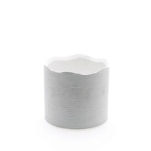 Load image into Gallery viewer, Pot Delphi