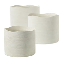 Load image into Gallery viewer, Pot Delphi