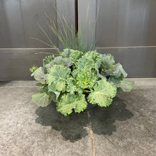 Load image into Gallery viewer, Fall Color Bowl Planter