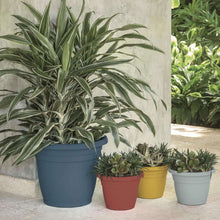 Load image into Gallery viewer, Colorful ceramic planters in blue, red, yellow, and gray displaying various plants outdoors