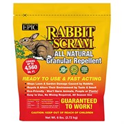 Load image into Gallery viewer, Epic Rabbit Scram