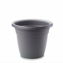Load image into Gallery viewer, Emma 12 In