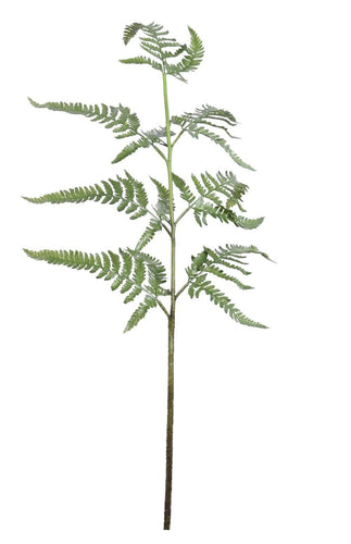 Faux Fern