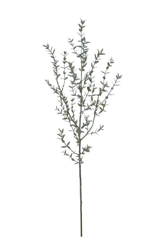 Faux Eucalyptus