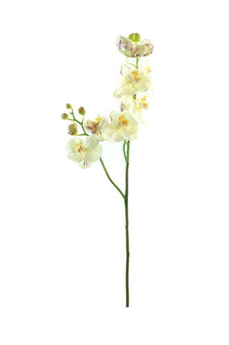 Faux Phal Orchid x3 Stem 31
