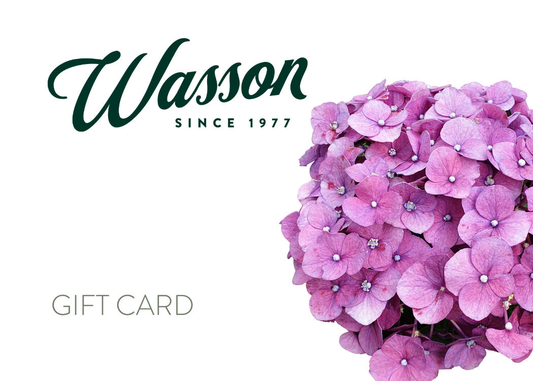 Wasson Gift Cards – Wasson Nursery