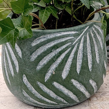 Load image into Gallery viewer, Green ceramic planter with raised leaf vein pattern containing ivy plants