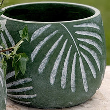 Load image into Gallery viewer, Green ceramic planter with raised white palm leaf pattern design containing small plants