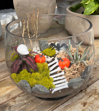 Load image into Gallery viewer, 2025 Halloween Terrarium Workshop