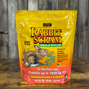 Epic Rabbit Scram