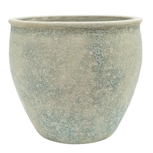 Load image into Gallery viewer, Large sage green ceramic belly pot with textured speckled glaze finish