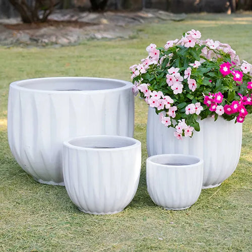 Geo-Mod: Herrington Planter, Mystical Daisy & Mayflower Pot