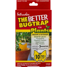 Load image into Gallery viewer, Intruder The Better Bugtrap for Plants
