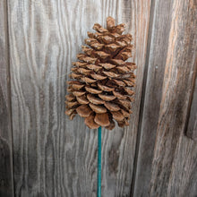 Load image into Gallery viewer, Pick Holiday Pinecone