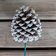 Load image into Gallery viewer, Pick Holiday Pinecone