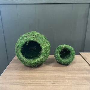 Kokedama