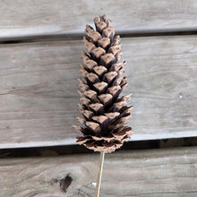 Load image into Gallery viewer, Pick Holiday Pinecone