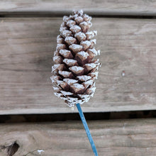 Load image into Gallery viewer, Pick Holiday Pinecone