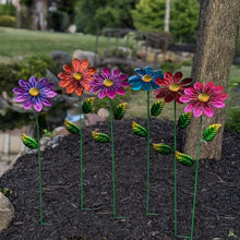 Load image into Gallery viewer, Colorful metal daisy garden stakes with vibrant flower heads planted in mulched garden bed