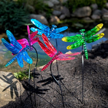 Load image into Gallery viewer, Colorful translucent dragonfly garden stakes in blue, pink, red, and green mounted on black metal poles