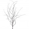 32 In Frosted Curly Twig Spray