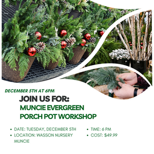 Muncie Evergreen Porch Pot Workshop