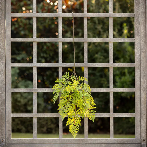 Grand Fern Stem