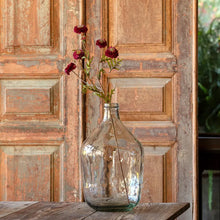 Load image into Gallery viewer, Deep burgundy wine aster stems with small daisy-like blooms arranged in a clear glass demijohn vase