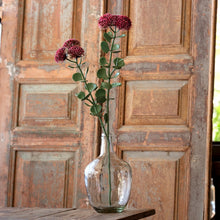 Load image into Gallery viewer, Two dusty rose sedum stems with burgundy flower clusters in clear glass vase