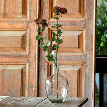 Load image into Gallery viewer, Dusty lavender sedum stem with round leaves displayed in clear glass bottle vase