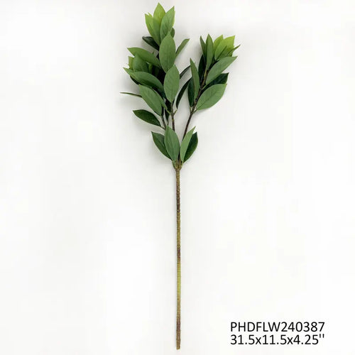 Bay Leaf Branch