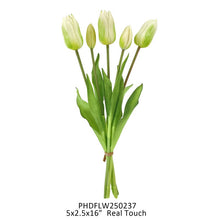 Load image into Gallery viewer, Bundle of five white-green tulip stems with unopened buds and green leaves tied together