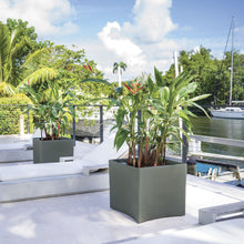 Load image into Gallery viewer, Large sage green square planters on modern waterfront terrace with tropical plants