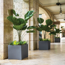 Load image into Gallery viewer, Large charcoal gray square planters with tropical palms in stone archway corridor