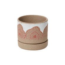 Load image into Gallery viewer, Pot Protea with Saucer