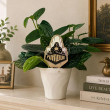 Load image into Gallery viewer, Purdue University train-themed decorative plant stake displayed in potted plant on shelf