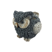Load image into Gallery viewer, Small decorative owl planter with textured dark bark-like finish and large round eyes